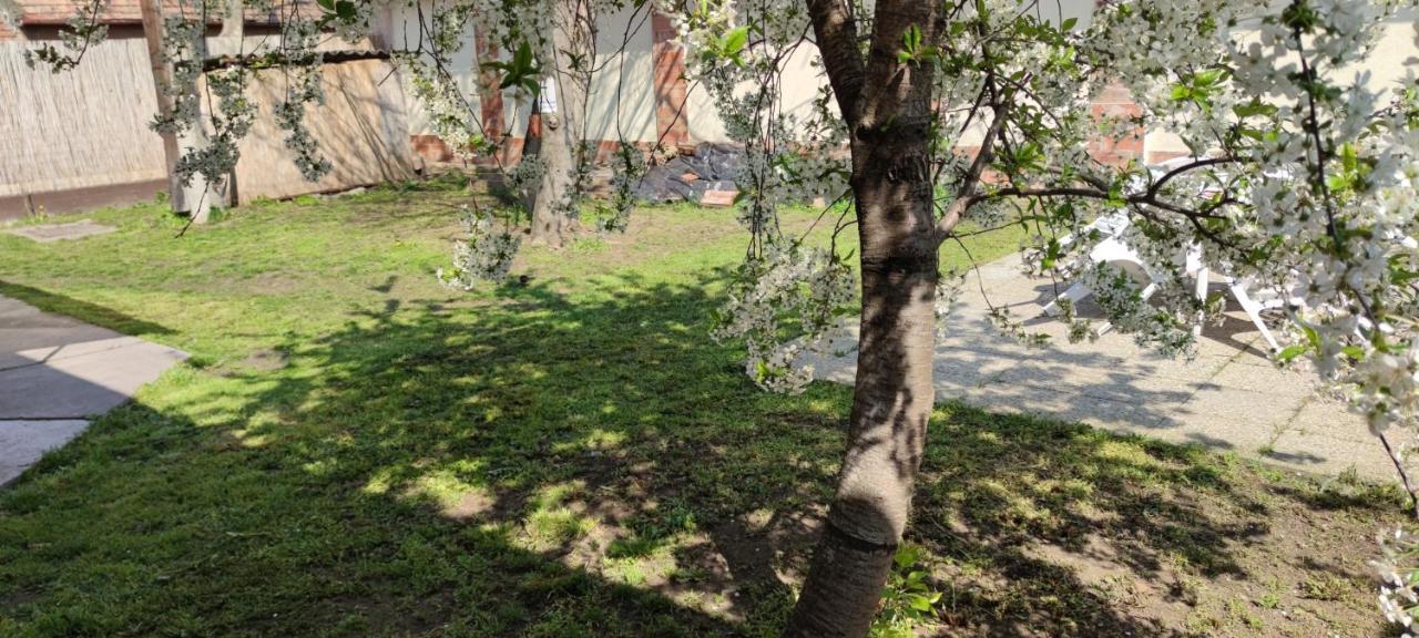 Orsi Apartman / Vendeghaz Кечкемет Экстерьер фото